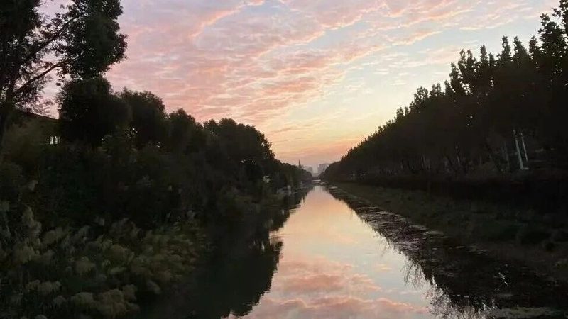 专利申请代理费：揭秘其构成与影响因素